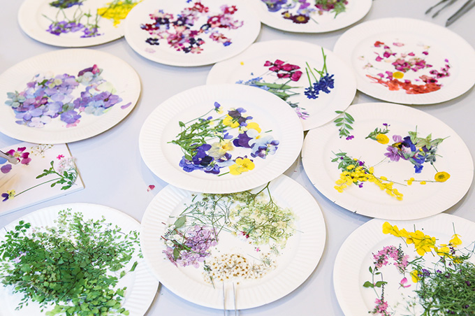 写真：お皿にならんださまざまな押し花