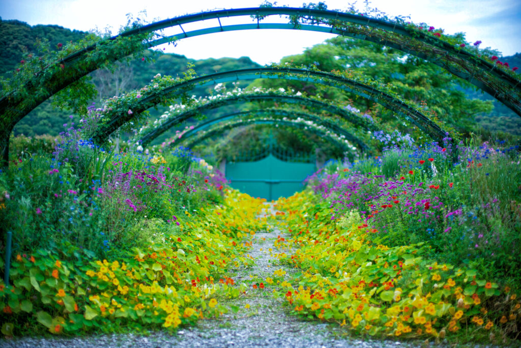 写真：アーチの下に色とりどりの花が咲き、足元にオレンジ色のナスタチウムが広がる庭